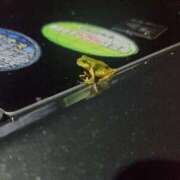 ヒメ日記 2025/06/25 21:18 投稿 りんか モアグループ春日部人妻城