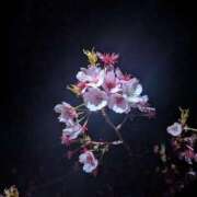 ヒメ日記 2026/04/03 10:33 投稿 りんか モアグループ春日部人妻城