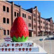 ヒメ日記 2025/03/01 12:12 投稿 みひろ 人妻の秘密成田店