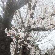 ヒメ日記 2025/03/28 20:00 投稿 みひろ 人妻の秘密成田店