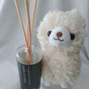 ヒメ日記 2025/04/08 21:10 投稿 みひろ 人妻の秘密成田店