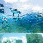 ヒメ日記 2025/06/04 13:01 投稿 みひろ 人妻の秘密成田店