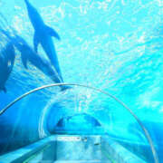 ヒメ日記 2025/06/12 12:10 投稿 みひろ 人妻の秘密成田店