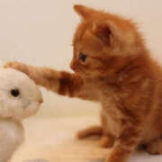 ヒメ日記 2025/06/27 20:50 投稿 みひろ 人妻の秘密成田店