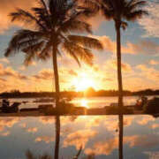 ヒメ日記 2025/07/01 21:10 投稿 みひろ 人妻の秘密成田店