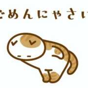 ヒメ日記 2025/10/16 15:14 投稿 みひろ 人妻の秘密成田店