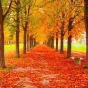 ヒメ日記 2025/11/11 21:07 投稿 みひろ 人妻の秘密成田店