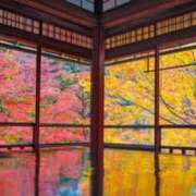 ヒメ日記 2025/11/26 12:34 投稿 みひろ 人妻の秘密成田店