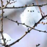 みひろ 明日出勤します♡ 人妻の秘密成田店