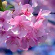 ヒメ日記 2026/02/28 12:05 投稿 みひろ 人妻の秘密成田店