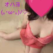 ヒメ日記 2026/03/02 07:44 投稿 みひろ 人妻の秘密成田店