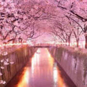 ヒメ日記 2026/03/20 20:20 投稿 みひろ 人妻の秘密成田店