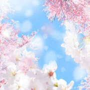 ヒメ日記 2026/03/29 20:12 投稿 みひろ 人妻の秘密成田店