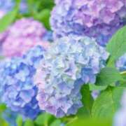 ヒメ日記 2026/05/29 21:19 投稿 みひろ 人妻の秘密成田店
