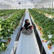 れいら げんきです アラモード