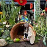 ヒメ日記 2025/12/10 10:22 投稿 れいら アラモード