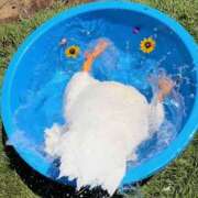 ヒメ日記 2025/07/20 10:10 投稿 あおい 奥鉄オクテツ神奈川店（デリヘル市場グループ）