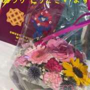 ヒメ日記 2025/07/08 09:20 投稿 今井 華恋人(カレント)