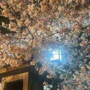 ヒメ日記 2026/03/30 19:56 投稿 今井 華恋人(カレント)