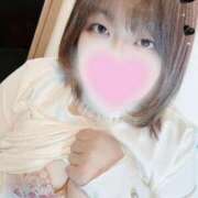 ヒメ日記 2025/11/15 09:03 投稿 まほ 兵庫姫路・加古川ちゃんこ