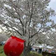 ヒメ日記 2026/04/05 22:28 投稿 まや ぐっどがーる浜松店