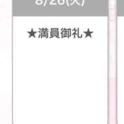 ヒメ日記 2025/08/27 13:48 投稿 キイ【新人】【宮崎っ子】 Alice