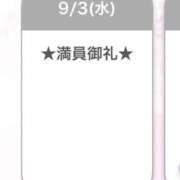 ヒメ日記 2025/09/04 12:58 投稿 キイ【新人】【宮崎っ子】 Alice