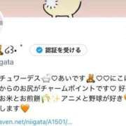 ヒメ日記 2025/02/04 08:52 投稿 あい スチュワーデス