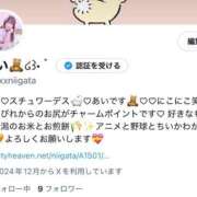 ヒメ日記 2025/04/02 21:06 投稿 あい スチュワーデス