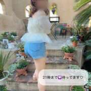 ヒメ日記 2026/06/14 07:01 投稿 あい スチュワーデス