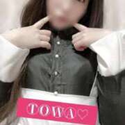 ヒメ日記 2025/11/06 19:29 投稿 とわ 大阪和泉ちゃんこ