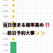 ヒメ日記 2025/01/14 12:23 投稿 はる 秒即DE舐めてミント