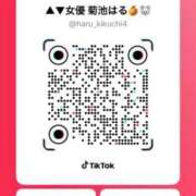 ヒメ日記 2025/04/23 21:31 投稿 はる 秒即DE舐めてミント