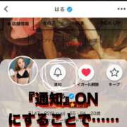 ヒメ日記 2025/07/07 18:02 投稿 はる 秒即DE舐めてミント