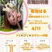 ヒメ日記 2025/12/09 16:01 投稿 はる 秒即DE舐めてミント