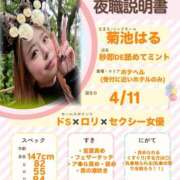 ヒメ日記 2026/02/20 11:15 投稿 はる 秒即DE舐めてミント