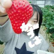 ヒメ日記 2025/03/06 15:56 投稿 成田 BBW横浜店