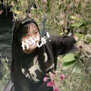 ヒメ日記 2025/03/14 17:47 投稿 成田 BBW横浜店