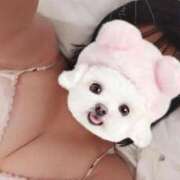 ヒメ日記 2025/04/19 12:04 投稿 成田 BBW横浜店