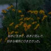 ヒメ日記 2025/06/16 20:54 投稿 成田 BBW横浜店