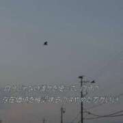 ヒメ日記 2025/07/03 21:02 投稿 成田 BBW横浜店