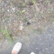 ヒメ日記 2025/07/04 20:33 投稿 成田 BBW横浜店