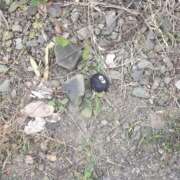 ヒメ日記 2025/07/04 22:22 投稿 成田 BBW横浜店