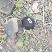 ヒメ日記 2025/07/06 16:36 投稿 成田 BBW横浜店