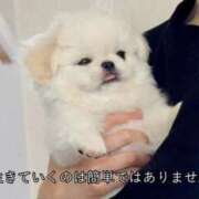 ヒメ日記 2025/07/16 21:31 投稿 成田 BBW横浜店