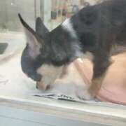 ヒメ日記 2025/07/30 19:54 投稿 成田 BBW横浜店