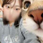 ヒメ日記 2025/11/02 08:01 投稿 成田 BBW横浜店