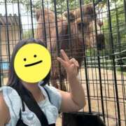 ヒメ日記 2025/11/19 13:26 投稿 成田 BBW横浜店