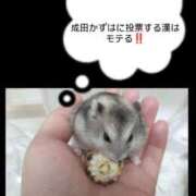 ヒメ日記 2025/11/20 19:55 投稿 成田 BBW横浜店