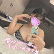 ヒメ日記 2025/12/26 12:00 投稿 なな 僕らのぽっちゃリーノin越谷